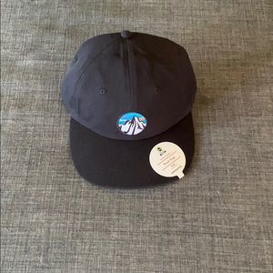 patagonia hat